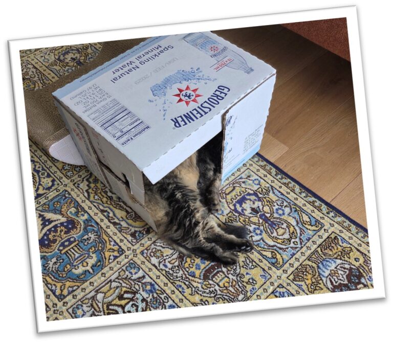 otis box
